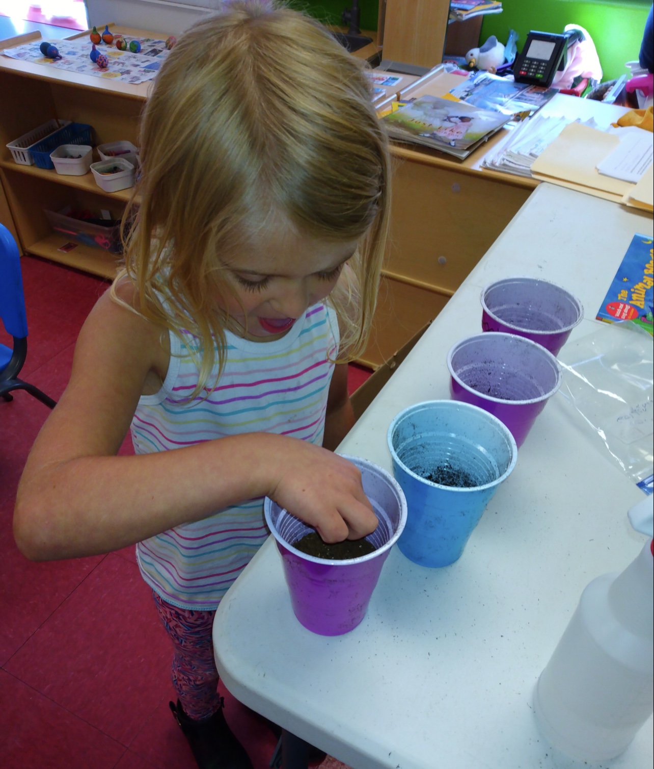 A child exploring soil in colorful cups during a classroom activity